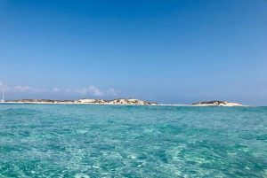From Ibiza: Full-Day Sailing Tour to Formentera