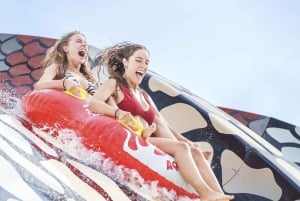 Vanaf Mallorca: Aqualand en Arenal Tickets en Transfer