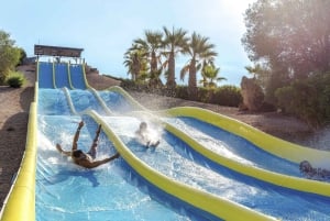 Vanaf Mallorca: Aqualand en Arenal Tickets en Transfer