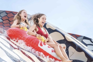 Из Майорки: билеты и трансфер в Акваленд и Ареналь