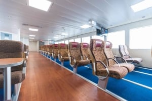 Von Mallorca: Tagestour von Alcudia nach Menorca