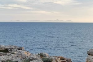 Vanaf Mallorca: Dagtrip met gids naar Menorca