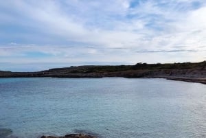 Desde Mallorca: Excursión de un día con guía a Menorca