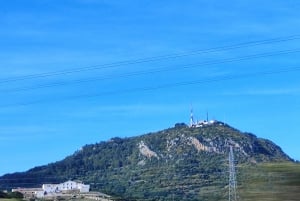 Fra Mallorca: Guidet dagstur til Menorca