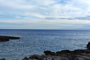 Från Mallorca: Guidad dagsutflykt till Menorca