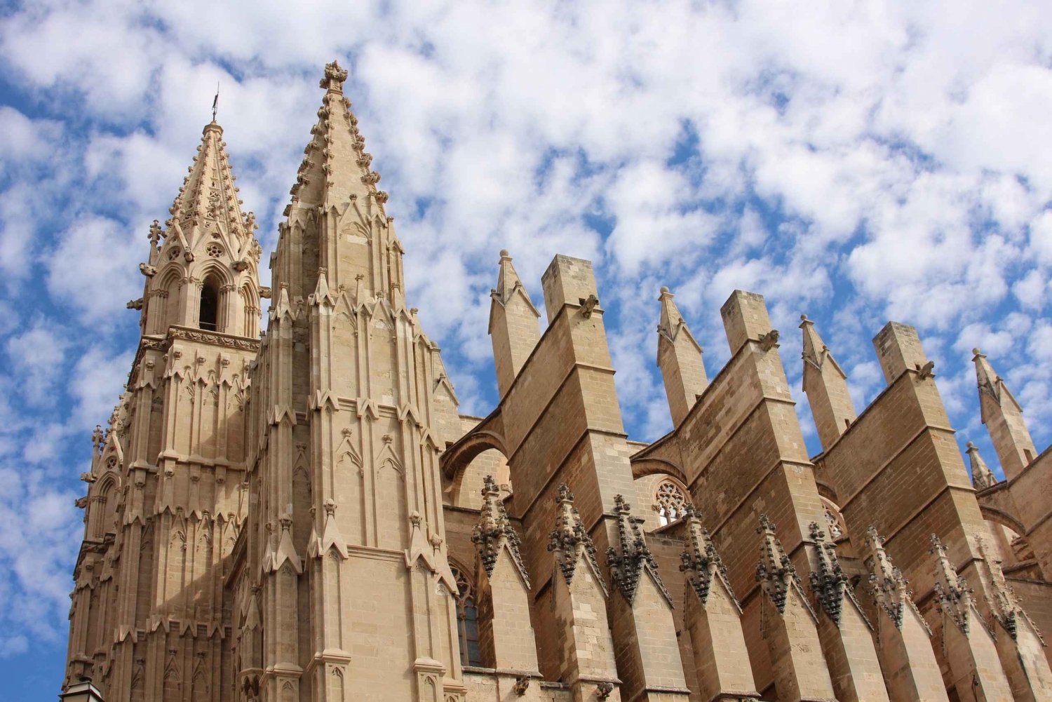 From Menorca: Palma shopping & guided tour with Cathedral