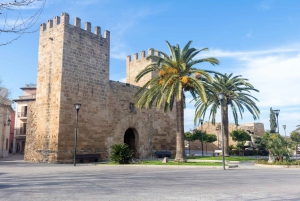 From Menorca: Roundtrip Mallorca Transfer w/ Optional Pickup