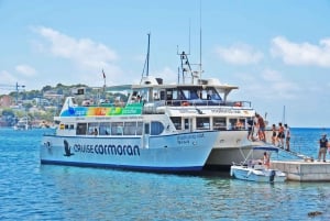 Fra Palma: 3-timers båttur med delfinsafari om morgenen