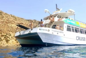 Da Palma: Tour mattutino di 3 ore in barca per l'osservazione dei delfini