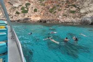 Fra Palma: 3-timers sejltur med delfinsafari om morgenen