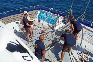 Da Palma: Tour mattutino di 3 ore in barca per l'osservazione dei delfini