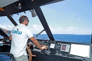 Desde Palma: tour en barco de 3 horas por la mañana para avistar delfines
