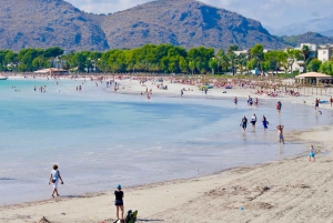 Desde Palma: Visita guiada a la ciudad de Alcudia y al Puerto de Pollença