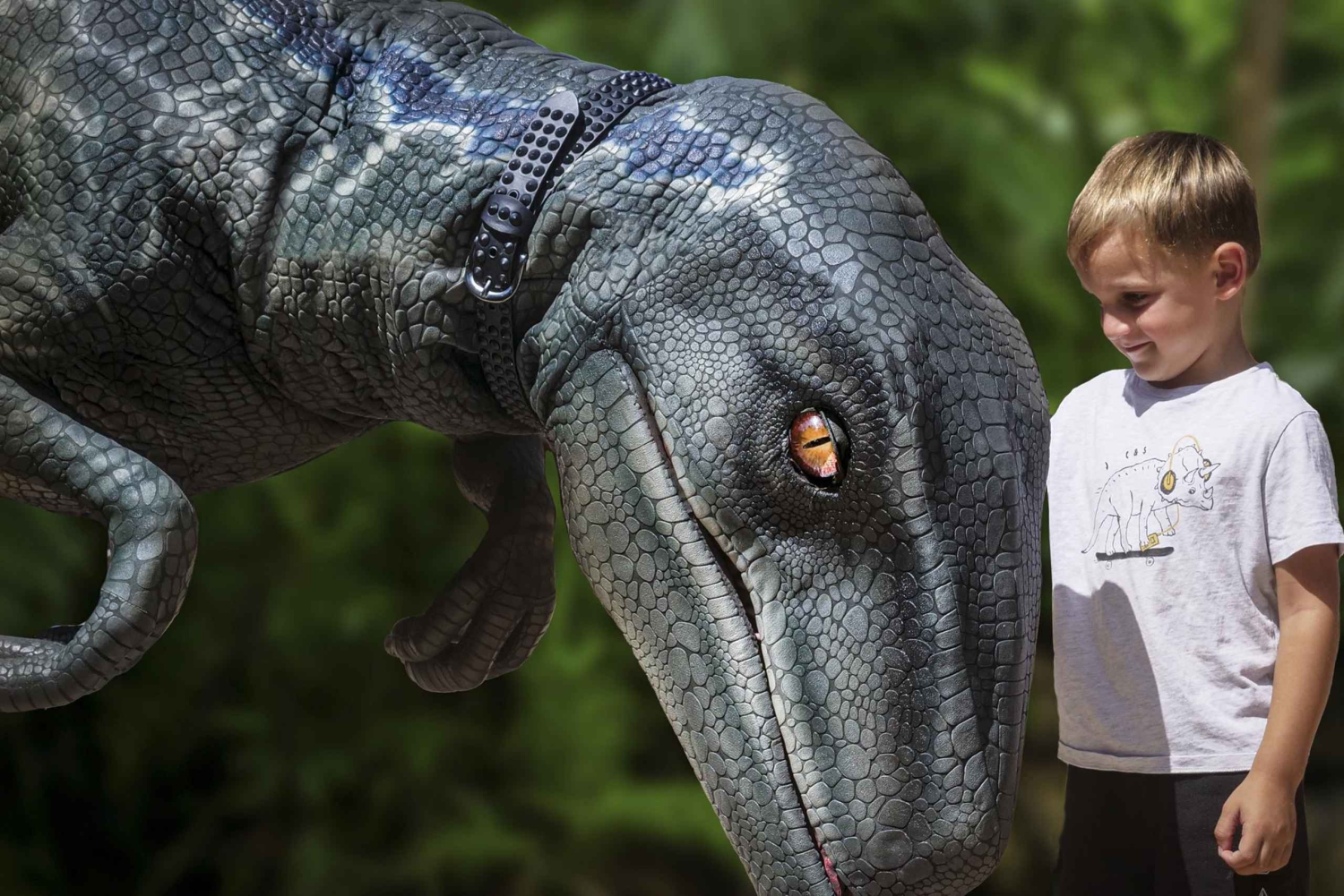 パルマ デ マヨルカ発：恐竜ランド ツアー