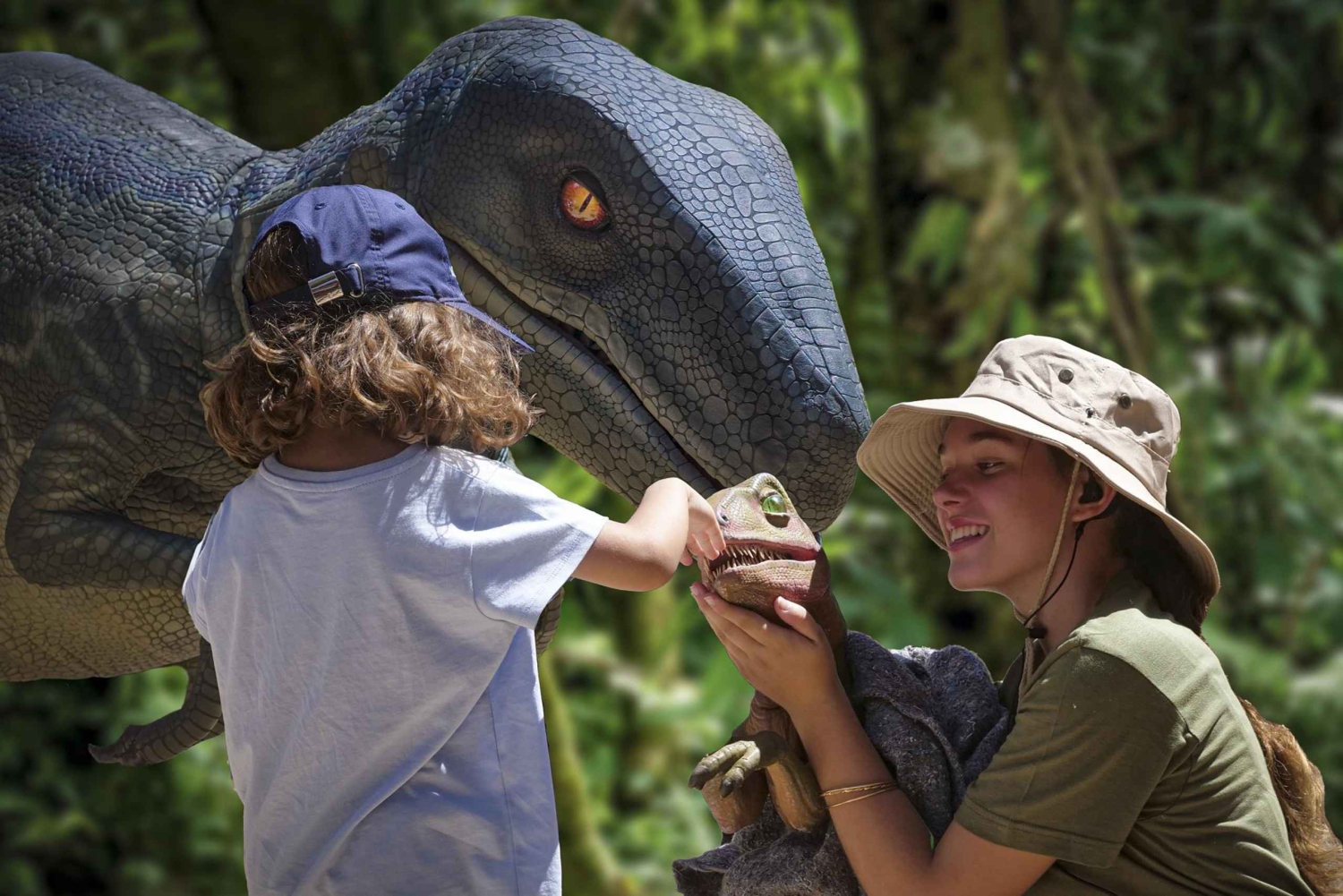 パルマ デ マヨルカ発：恐竜ランド ツアー