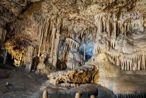 Da Palma di Maiorca: Tour del paese dei dinosauri