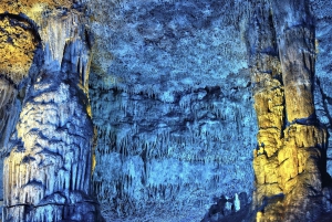 パルマ デ マヨルカ発：恐竜ランド ツアー