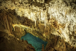 パルマ デ マヨルカ発：恐竜ランド ツアー