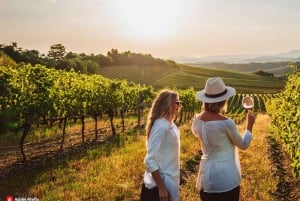 De Palma de Mallorca: Tour particular de vinhos e sabores locais