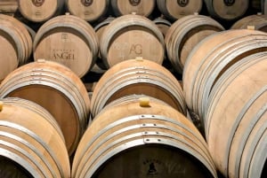 De Palma de Mallorca: Tour particular de vinhos e sabores locais