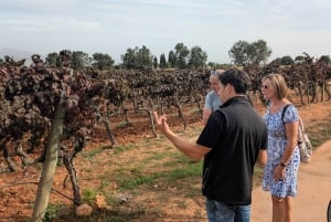 De Palma de Mallorca: Tour particular de vinhos e sabores locais