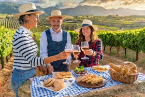 パルマ・デ・マヨルカ発：プライベートワイン＆ローカルフレーバーツアー