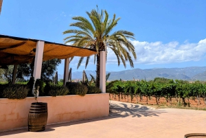 パルマ・デ・マヨルカ発：プライベートワイン＆ローカルフレーバーツアー