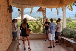 パルマ・デ・マヨルカ発：プライベートワイン＆ローカルフレーバーツアー