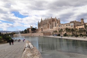 Vanuit Palma: Dagvullende tour op Mallorca met een professionele gids