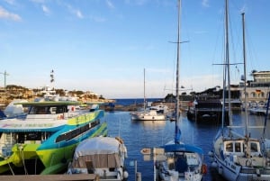 Vanuit Palma: Dagvullende tour op Mallorca met een professionele gids