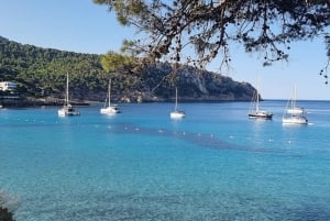 From Palma: Luxury Catamaran Group Tour with Tapas & Drinks