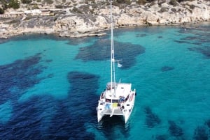 From Palma: Luxury Catamaran Group Tour with Tapas & Drinks