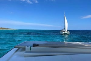 From Palma: Luxury Catamaran Tour with Tapas & Swimming
