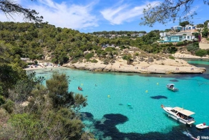 Vanuit Palma: Portal Vells Strand en Grot SUP & Snorkeltour