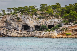 Vanuit Palma: Portal Vells Strand en Grot SUP & Snorkeltour