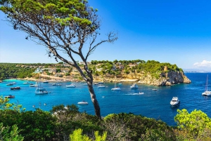 Vanuit Palma: Portal Vells Strand en Grot SUP & Snorkeltour