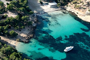 Vanuit Palma: Portal Vells Strand en Grot SUP & Snorkeltour