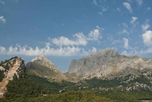 Från Palma: Guidad tur i Serra Tramuntana och klostret i Lluc
