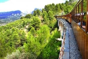 De Palma: Tour guiado pela Serra Tramuntana e pelo Monastério de Lluc