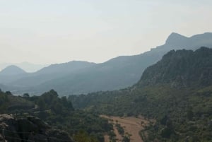 Desde Palma: Visita guiada a la Serra Tramuntana y el Monasterio de Lluc