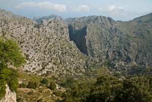 Från Palma: Guidad tur i Serra Tramuntana och klostret i Lluc