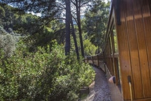 Från Palma: Guidad tur i Serra Tramuntana och klostret i Lluc