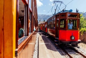 Från Palma: Guidad tur i Serra Tramuntana och klostret i Lluc