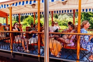 Från Palma: Guidad tur i Serra Tramuntana och klostret i Lluc