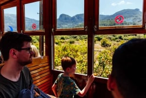 Från Palma: Guidad tur i Serra Tramuntana och klostret i Lluc