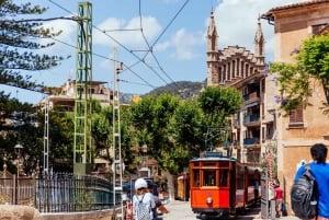 Från Palma: Guidad tur i Serra Tramuntana och klostret i Lluc