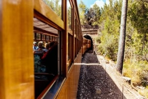 Från Palma: Guidad tur i Serra Tramuntana och klostret i Lluc