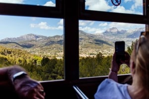 Från Palma: Guidad tur i Serra Tramuntana och klostret i Lluc