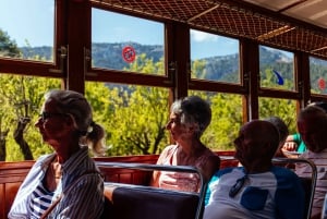 Från Palma: Guidad tur i Serra Tramuntana och klostret i Lluc