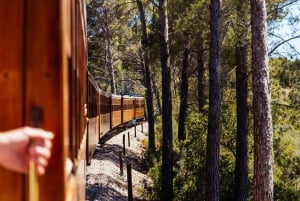 Från Palma: Guidad tur i Serra Tramuntana och klostret i Lluc